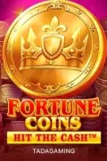 Fortune Coins slot más popular en FCC666 COM